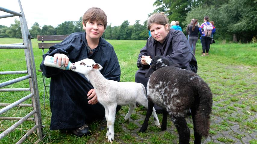 Die Kinder von Wanderschäfer Thomas Gackstatter Tim und Kerstin, 13 und 14 Jahre alt, kümmerten sich am Infotag im Pegnitztal Ost um Lämmer. Die Kinder von Wanderschäfer Thomas Gackstatter Tim und Kerstin, 13 und 14 Jahre alt, kümmerten sich am Infotag im Pegnitztal Ost um Lämmer.