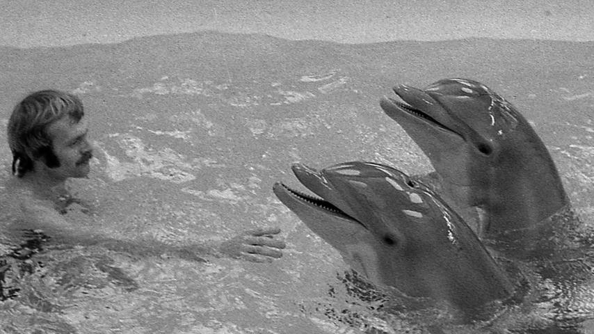Am Donnerstag, 2. September. findet im Delphinarium des Tiergartens eine "Massentaufe" statt: während die drei bisher namenlosen Tiere erstmals einen Namen erhalten, werden Charly und Nugget, die Stars der täglichen Vorführungen, umbenannt in Max und Moritz. Hier geht es zum Kalenderblatt vom 31. August 1971: Weibchen ist ein Männchen