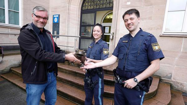 Der Stadtparkfrosch ist wieder da!