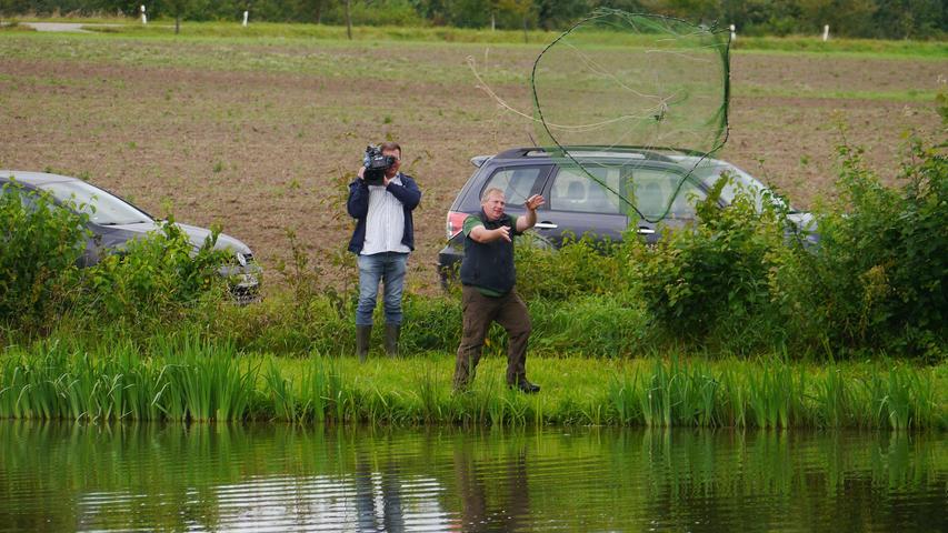 Ehe die Weiher abgefischt werden, prüft Sven Weichenberger immer wieder die Qualität von Wasser und Fischen. Einzelne Exemplare fängt er mit einem Wurfnetz.  