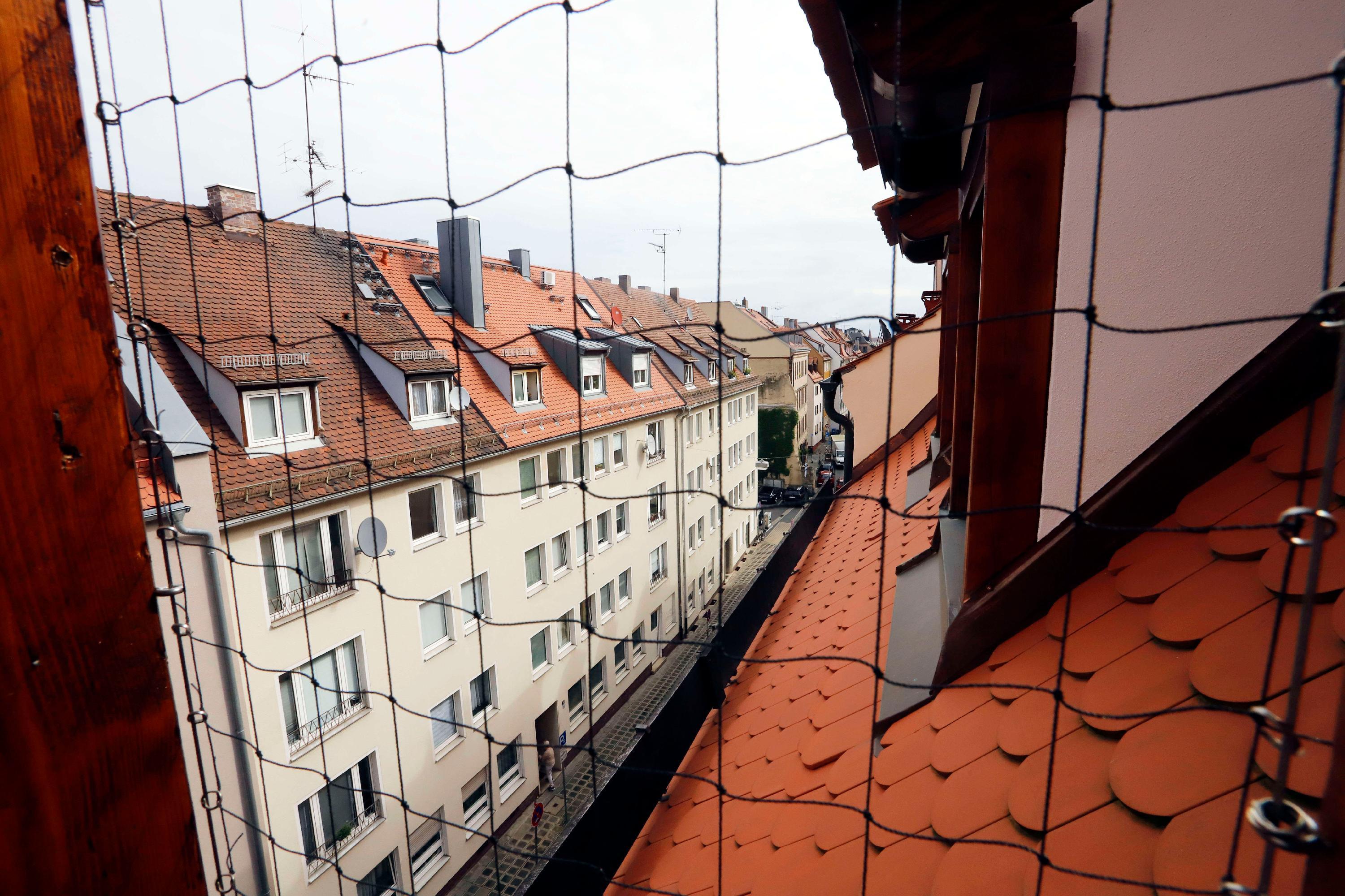 Netze sollen Tauben vom Nisten abhalten. Vor Beginn der Bauarbeiten hatte man erst einmal 350 Kilogramm Taubenkot entfernen müssen.