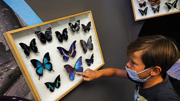 Friaul-Julisch Venetien Grado Italien Niese 2021