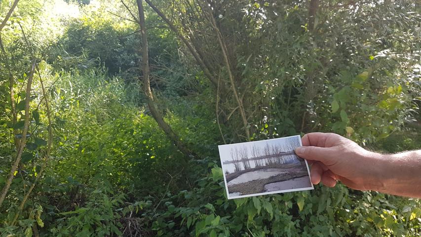 Wasserspiegel am Labsee im Regnitztal sinkt dramatisch