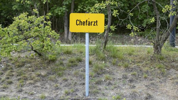 Mediangehalt: 196.251 Euro brutto pro Jahr