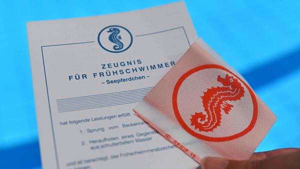 KINA - Seepferdchen ist nur der Anfang