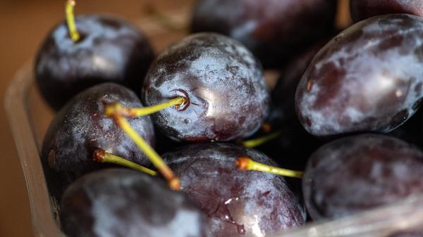 Kaufen nach Saisonkalender: Die Zeit ist reif für Pflaumen