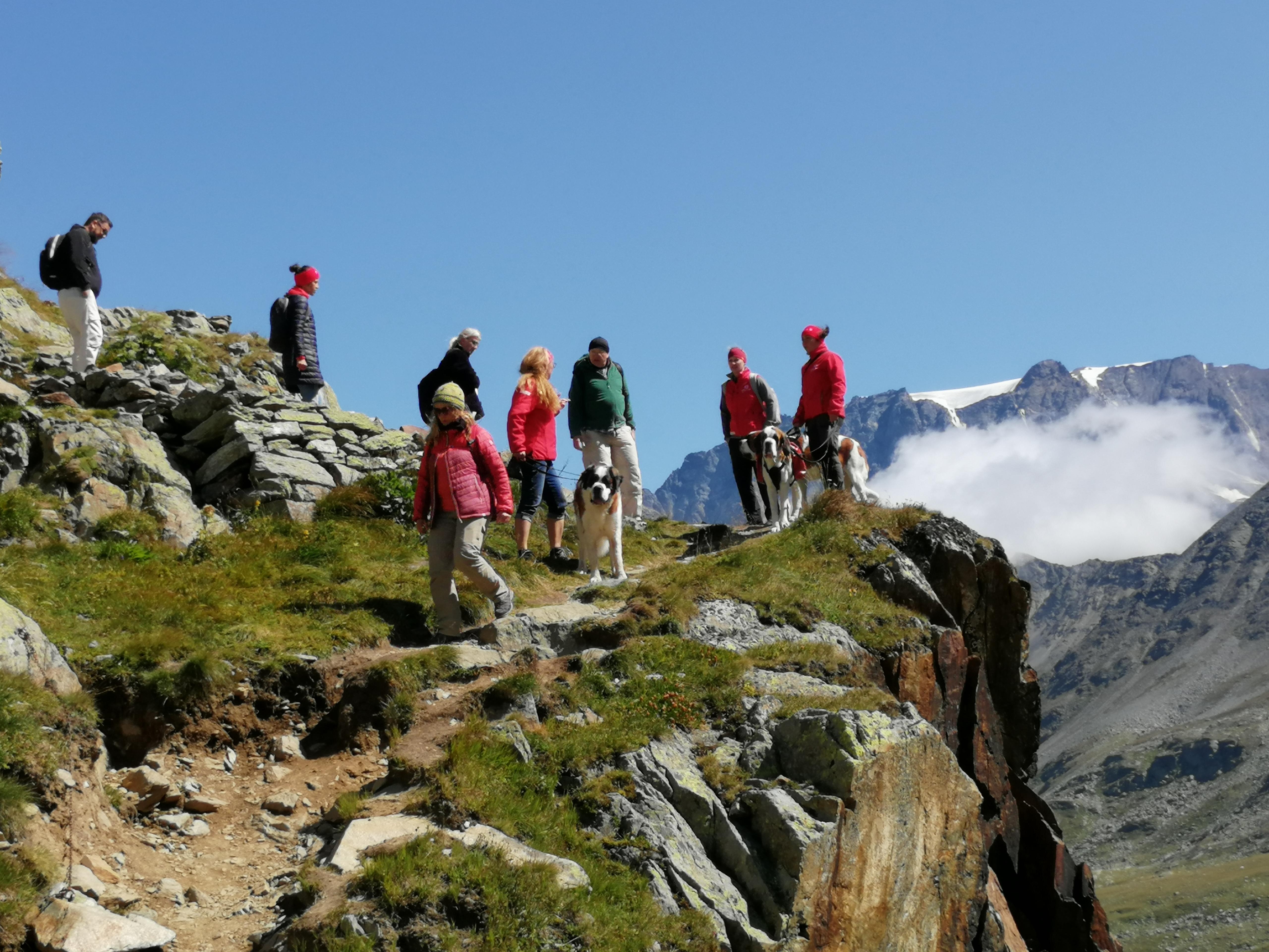 Wer hundeaffin ist, wird seinen Spaß haben bei geführten Touren mit Bernhardiner als begleitender Tour-Guide.
Wer hundeaffin ist, wird seinen Spaß haben bei geführten Touren mit Bernhardiner als begleitender Tour-Guide.