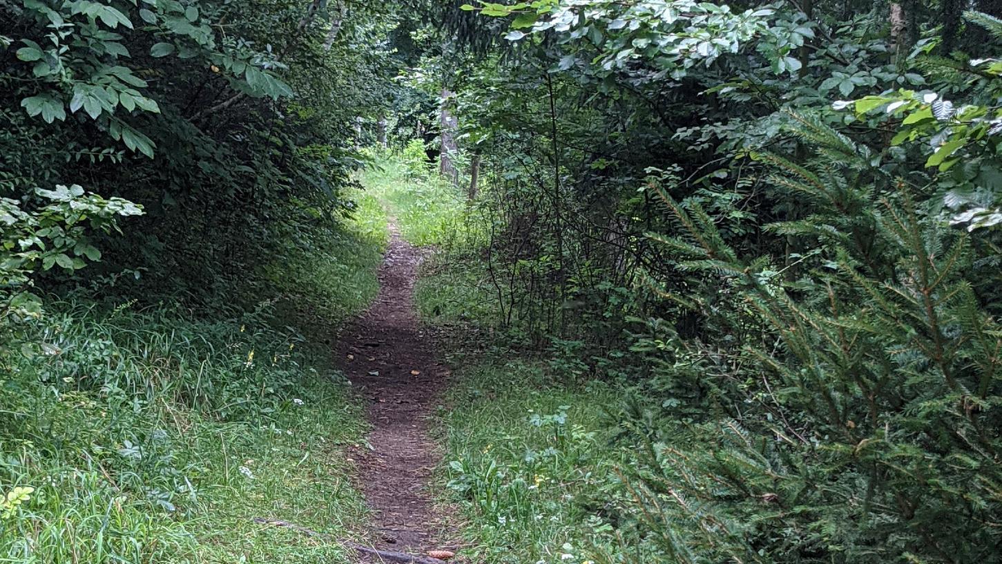 Eine kleine Schneise im Wald, bei der es sich aber um keinen illegalen Trail, sondern um einen ausgeschilderten Wanderweg handelt. Er führt durch Trockenrasenflächen und durch den Stadtwald.