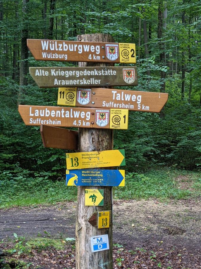 Viele Wege führen durch den Wald. Wir haben einen bikegeeigneten ausgesucht.  