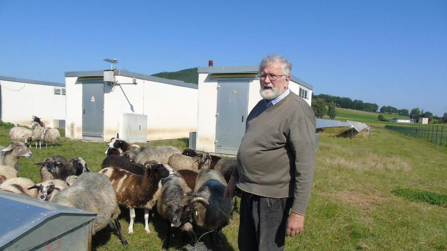 Johann Georg Gloßner mit einigen seiner vielen Schafe in der Solaranlage.