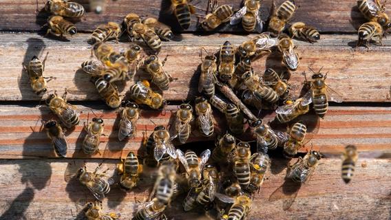 Faktencheck: Ist Honig wirklich gesünder als Zucker?