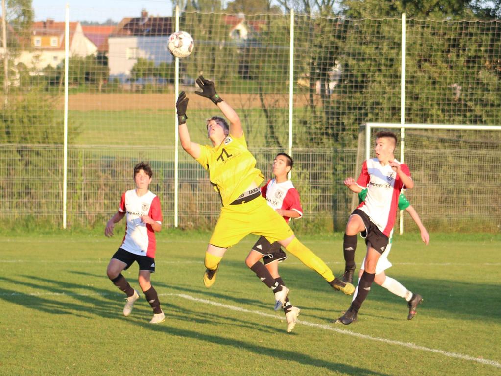 Bei dieser Flugeinlage des Torhüters staunten die umstehenden Spieler nicht schlecht.