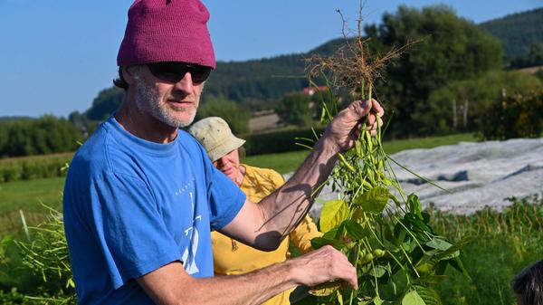 20210908_SolawiErnte