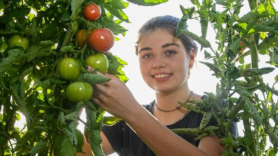 Selma Dietz inmitten von Tomaten.
Selma Dietz inmitten von Tomaten.