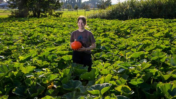 20210908_SolawiErnte