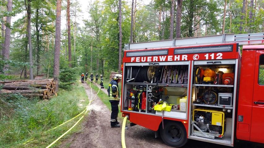 Ein Waldbrand, der sich schnell ausbreitete, wurde simuliert.