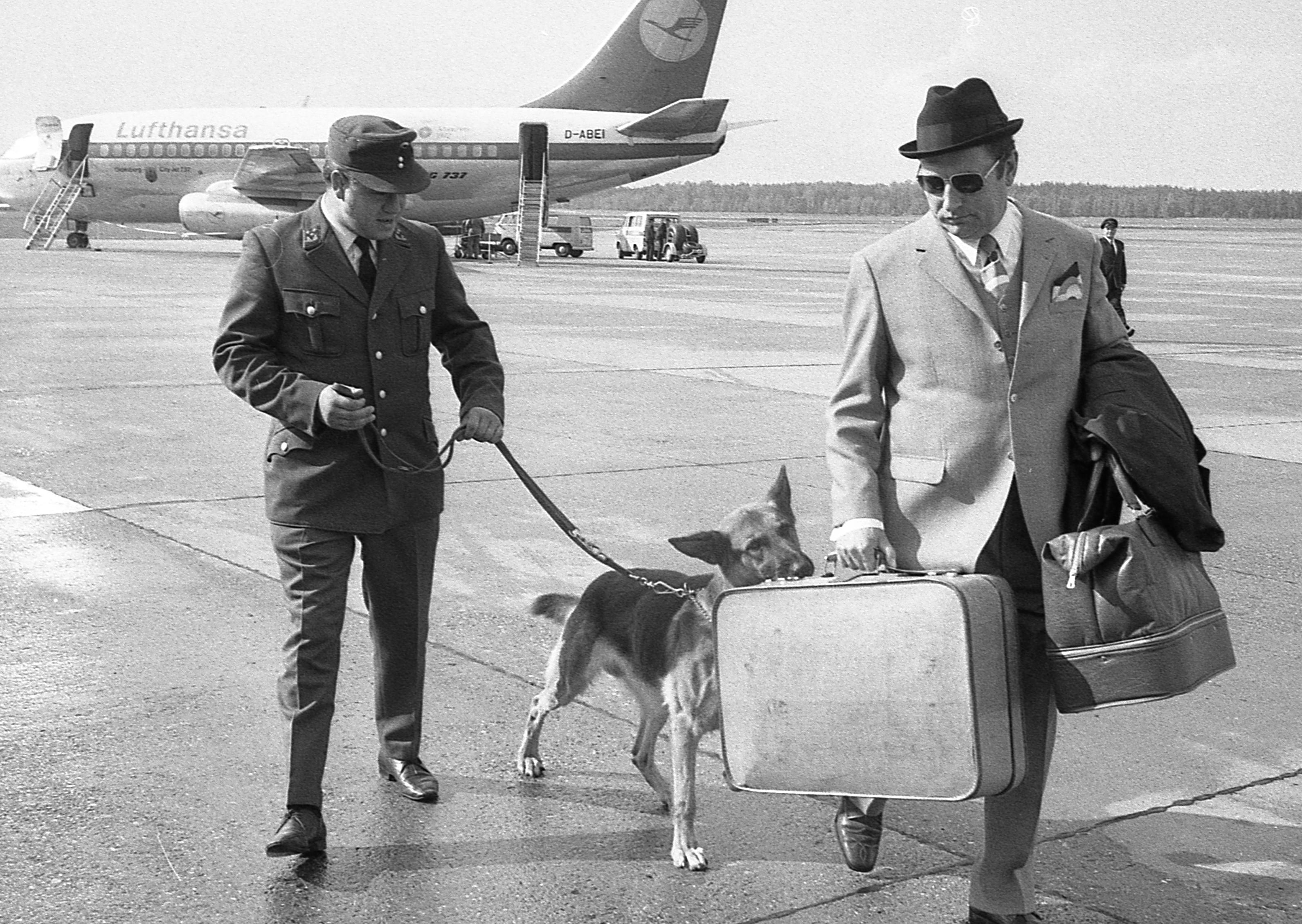 Der schlanke Prinz und Arno mit der gesträubten Halskrause waren gestern die Stars auf dem Nürnberger Flughafen. Von allen Seiten fotografiert wie Staatsoberhäupter, zeigten sie einer staunenden Schar von Reportern, daß für Haschisch-Schmuggler schlechte Zeiten anbrechen. Hier geht es zum Kalenderblatt vom 16. September 1971: Prinz und Arno riechen den Hasch von weitem.
Der schlanke Prinz und Arno mit der gesträubten Halskrause waren gestern die Stars auf dem Nürnberger Flughafen. Von allen Seiten fotografiert wie Staatsoberhäupter, zeigten sie einer staunenden Schar von Reportern, daß für Haschisch-Schmuggler schlechte Zeiten anbrechen. Hier geht es zum Kalenderblatt vom 16. September 1971: Prinz und Arno riechen den Hasch von weitem.