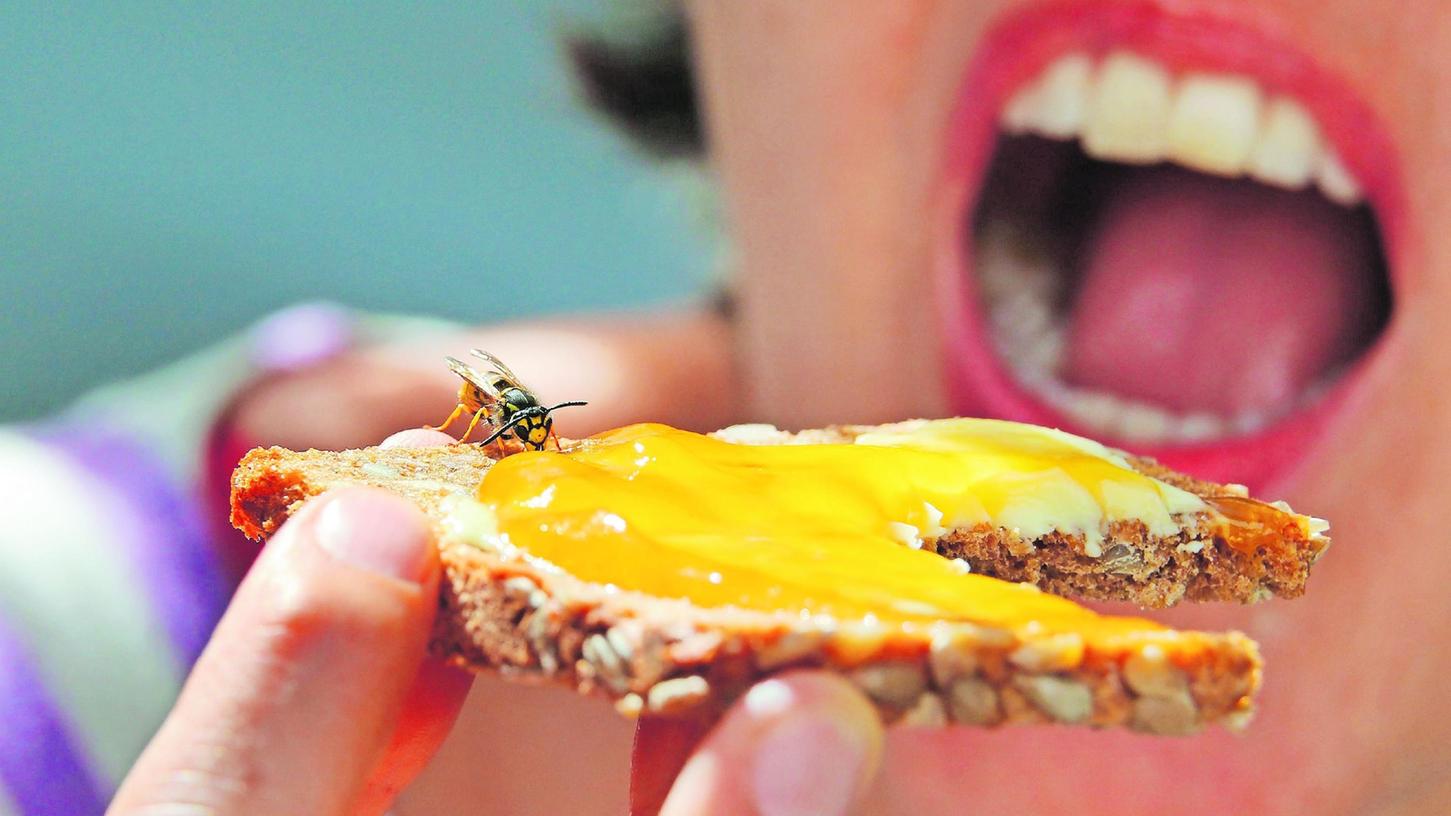 Eine Frau hält ein Marmeladenbrot, auf dem eine Wespe sitzt. 
