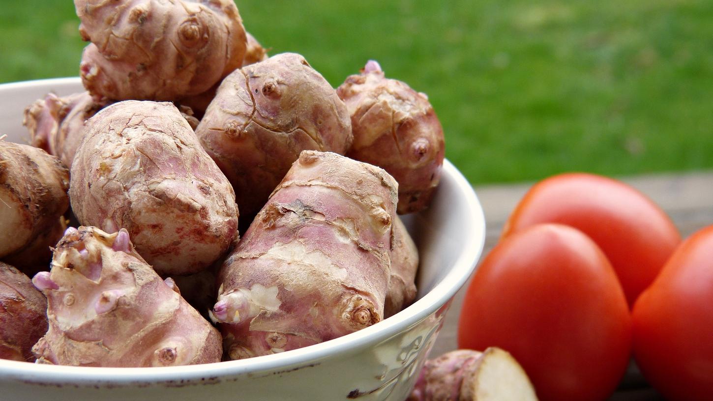 Topinambur ist in der Küche und im Gartenbeet nach wie vor ein Geheimtipp. Topinambur ist in der Küche und im Gartenbeet nach wie vor ein Geheimtipp.