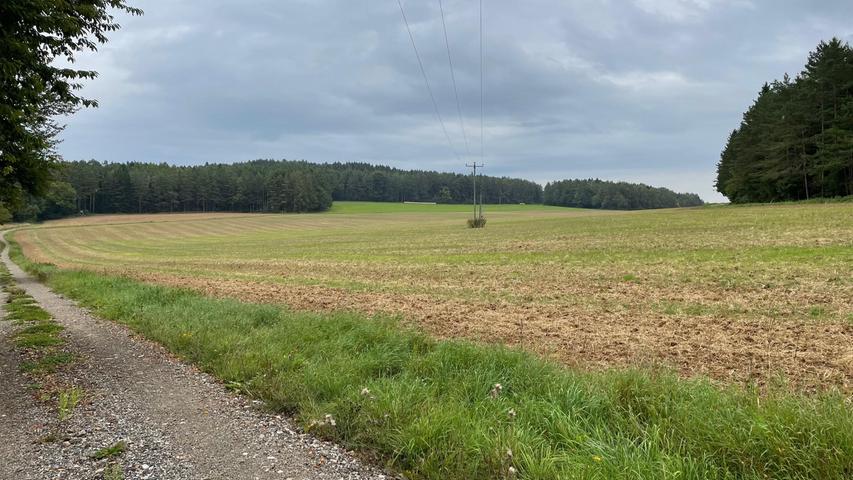 Hier in der Nähe von Oberfellendorf könnte ein neuer 100.000 Quadratmeter großer Solarpark entstehen.
Hier in der Nähe von Oberfellendorf könnte ein neuer 100.000 Quadratmeter großer Solarpark entstehen.