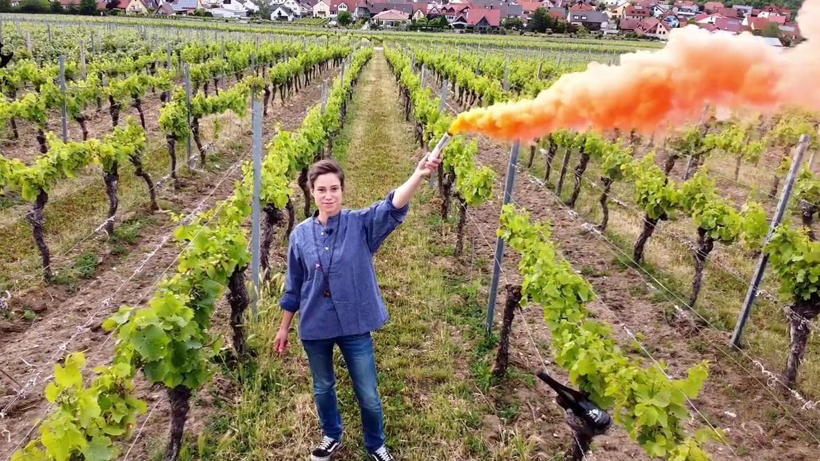 Schlägt eine Brücke von Frankenwein zu Punkrock: Winzerin Christina Molitor aus Nordheim am Main. Schlägt eine Brücke von Frankenwein zu Punkrock: Winzerin Christina Molitor aus Nordheim am Main.