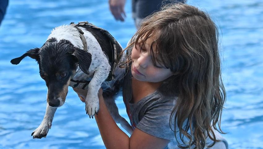 Das versucht auch die zehnjährige Johanna aus Eyölden mit ihrem Hund. Bis zur Hüfte steht das Mädchen im Wasser, und versucht „Emmy“ zu animieren, vom Beckenrand zu springen.