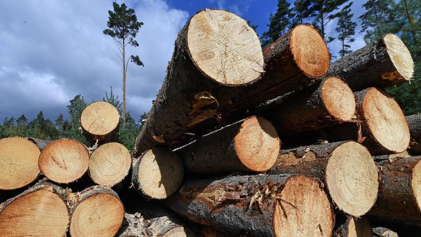 Holz: Die Versorgungskrise überwunden