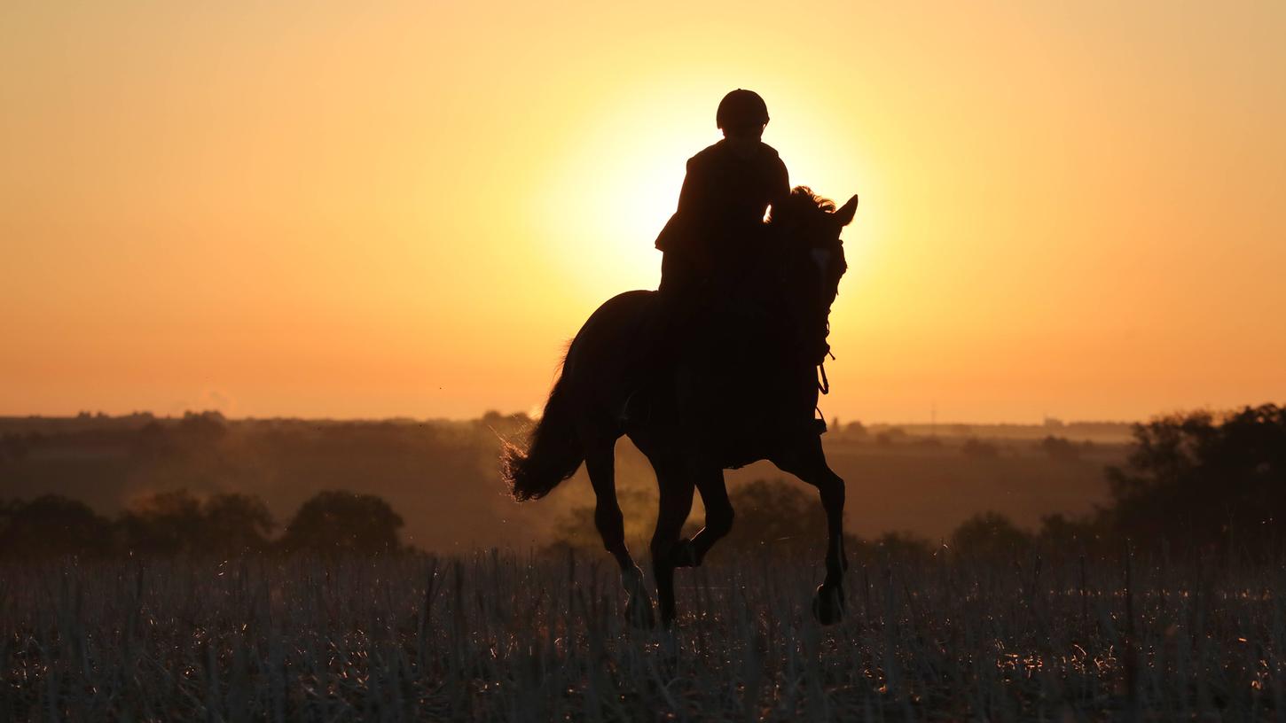 Nürnberger Land: Erzürnter Acker-Besitzer schlägt mit Spaten auf Reiter ein Nürnberger Land: Erzürnter Acker-Besitzer schlägt mit Spaten auf Reiter ein
