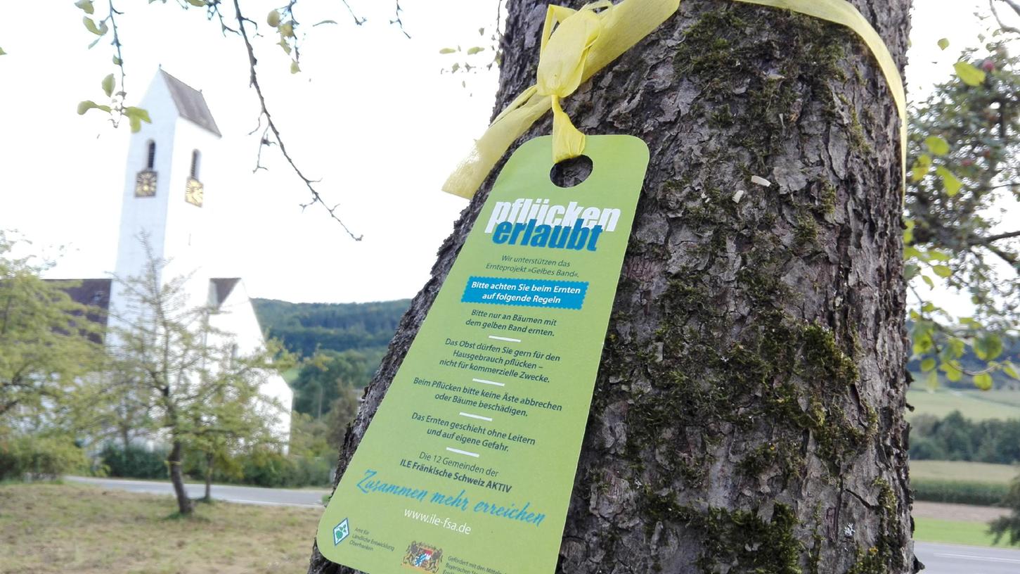Ein gelbes Band mit Anhänger ist an einem Baum bei Wannbach befestigt: Hier kann jede/r die Früchte abernten.