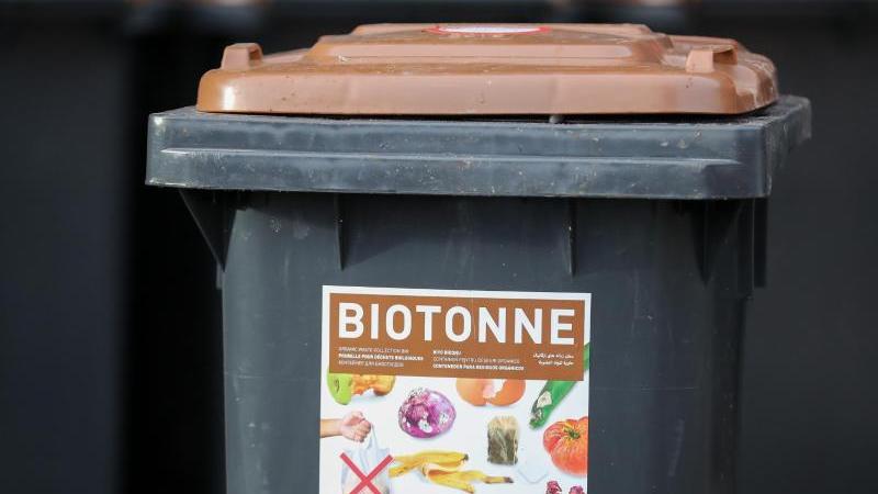 Wer für seine Biotonne einen Standpatz draußen im Schatten findet, hat bei Sommerhitze weniger Schwierigkeiten.
Wer für seine Biotonne einen Standpatz draußen im Schatten findet, hat bei Sommerhitze weniger Schwierigkeiten.