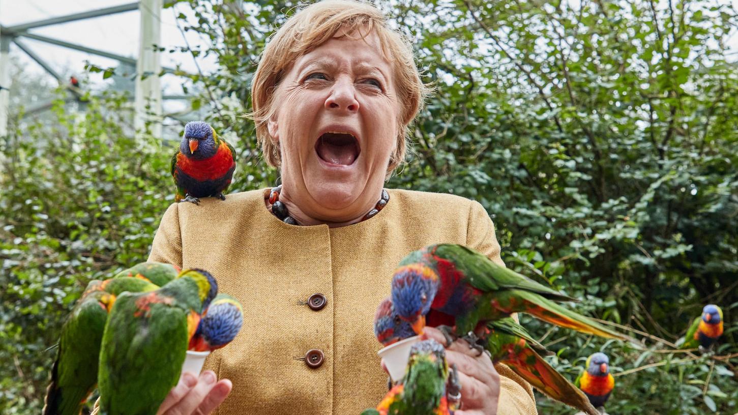 Merkel wurde von australischen Papageien umringt. Wie das Redaktionsnetzwerk Deutschland berichtet, wurde sie von einem der Papageien sogar gebissen.