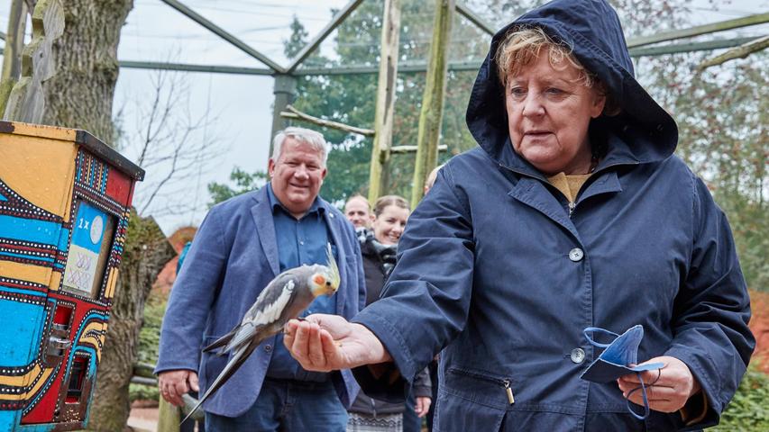 Die Vogel fraßen Bundeskanzlerin Angela Merkel aus der Hand. 