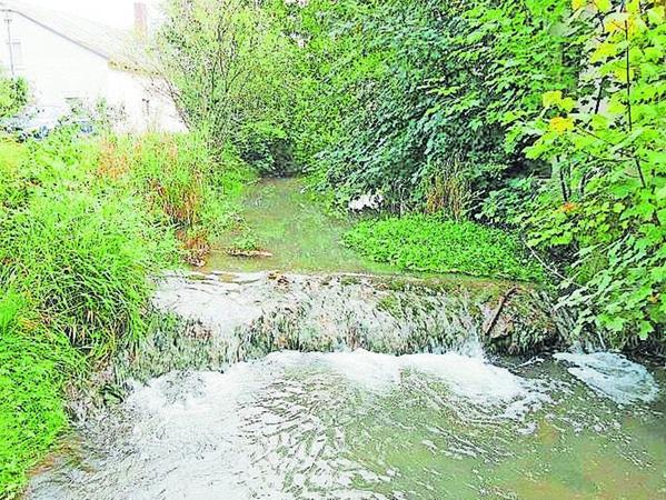 Flüsse der Umgebung sollen verbessert werden