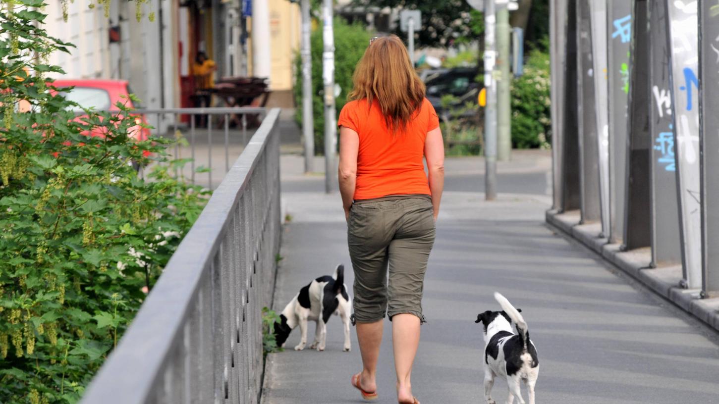 Auch in Nürnberg lassen immer mehr Hundehalter ihren Vierbeiner von der Leine.
Auch in Nürnberg lassen immer mehr Hundehalter ihren Vierbeiner von der Leine.