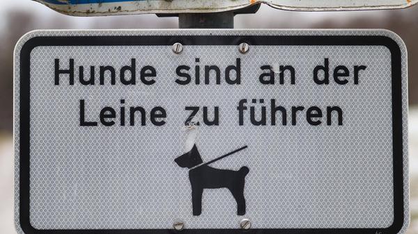 Anzeiger-hunde