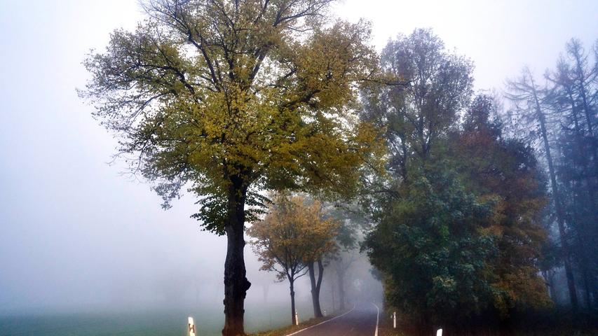 Im Herbst werden die Tage kürzer, Straßen sind zunehmend mit Laub bedeckt, der Nebel wird immer dichter und es kann bereits zu Bodenfrost und damit glatten Fahrbahnen kommen.