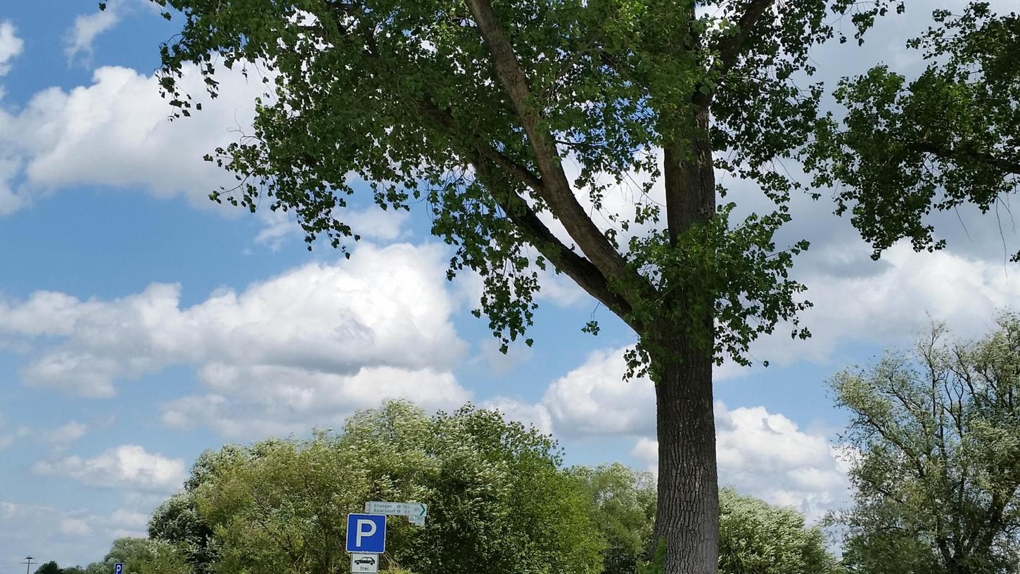 Das Parken am Ausee in Baiersdorf wird wie beschlossen erheblich teurer: Der Stadtrat wies einmütig den Appell der „Stammgäste“ zurück, die Entscheidung zu überdenken.