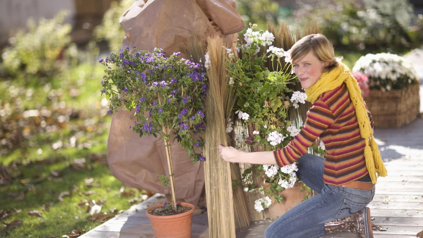 Wenn die Temperaturen um die Null-Grad-Grenze pendeln, brauchen empfindliche Pflanzen Schutz. Doch Achtung: Wer sie zu früh einpackt oder die falschen, schadet ihnen mehr als ihnen zu helfen.