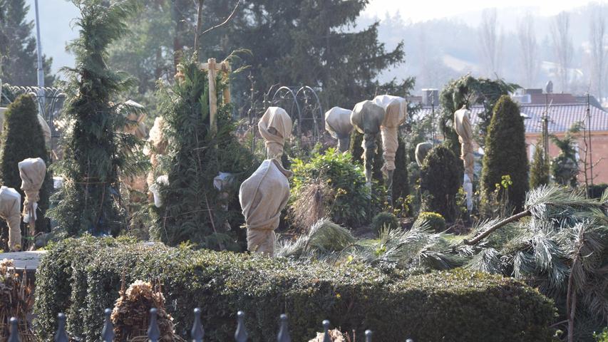 Gut verpackte Gestalten: Bei der Bayerischen Gartenakademie in Veitshöchheim wissen die Experten, wie es geht.