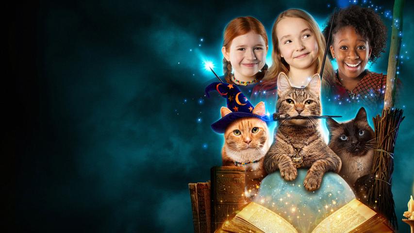 "Hexen und Katzen" ist eine neue Fantasy-Serie für Kinder, die ab 7. Oktober bei Netflix läuft. Alles beginnt damit, als Hauptfigur Willa Ward zu ihrem 12. Geburtstag ein besonderes Geschenk erhält. Für Kinder ab sechs Jahren geeignet. 