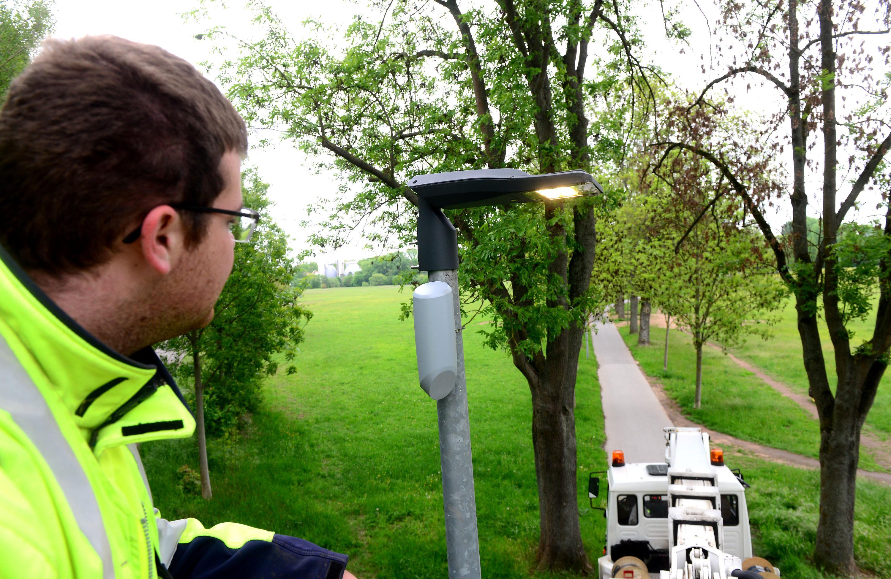 Anzeiger-sensorlampe