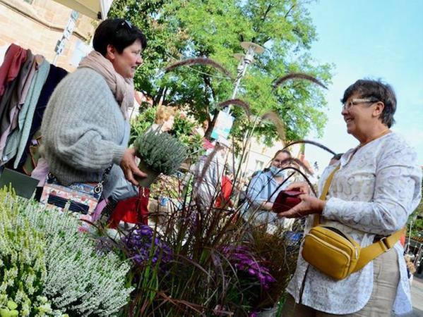 Einkaufen und nett plaudern: Auch das ist der Schwabacher Regionalmarkt. Einkaufen und nett plaudern: Auch das ist der Schwabacher Regionalmarkt.