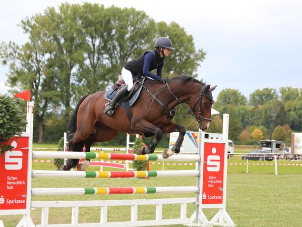 Valentina Poschner (RFV Bad Windsheim) mit Kumatillo holten sich das Goldene Schleifchen bei der Sprinpferdeprüfung M*