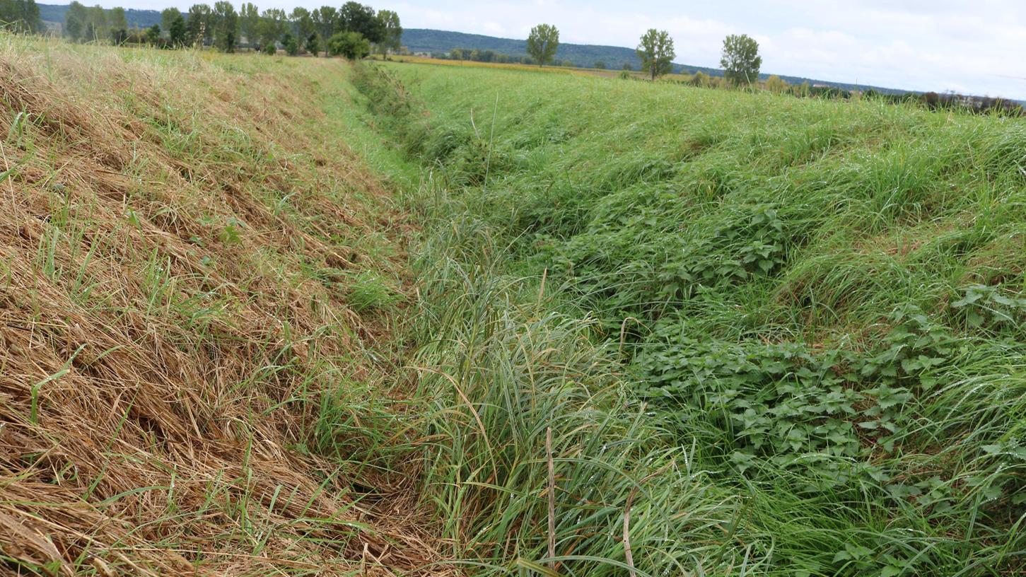 Solche Grünen Gräben führen nicht immer Wasser. Mit Schiebern soll dieses nun aufgestaut werden, damit es versickern kann.
Solche Grünen Gräben führen nicht immer Wasser. Mit Schiebern soll dieses nun aufgestaut werden, damit es versickern kann.