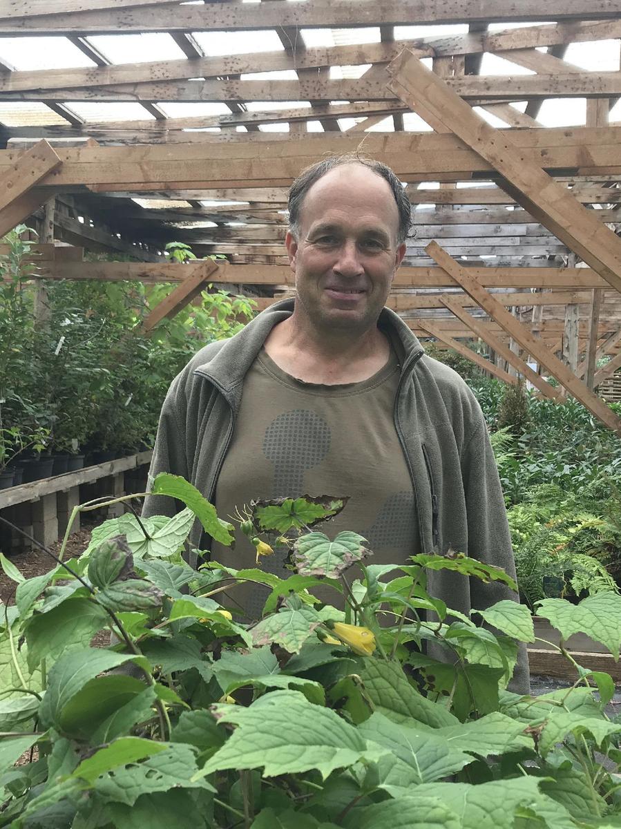 Frank Schneller steht inmitten seiner Baumschule in Birkenhof. Das riesige, Schatten spendende Dach über seiner Gärtnerei ermöglicht es ihm, dass er seine Pflanzen nur ab und zu mit Regenwasser gießen muss. 