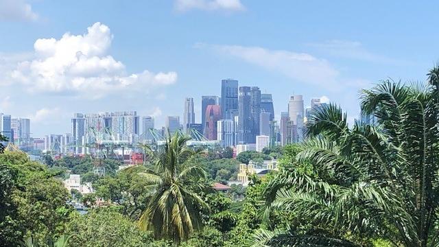 Von den "Gardens by the Bay" aus, einer großen Grünanlage, hat man einen schönen Blick auf die Skyline von Singapur.