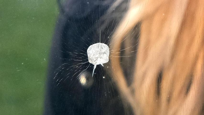 Und nochmal aus der Nähe: Der Rohdiamant ist etwa 6500 Euro wert und damit noch das Billigste am Kunstwerk "Rolihlahla". Und nochmal aus der Nähe: Der Rohdiamant ist etwa 6500 Euro wert und damit noch das Billigste am Kunstwerk "Rolihlahla".