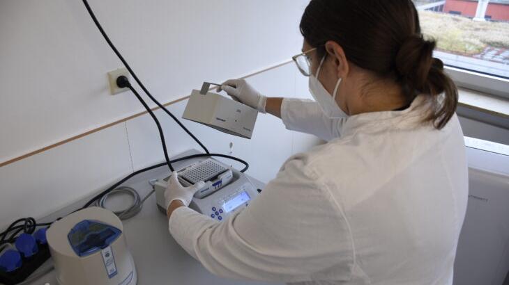 Corona-Tests für Kinder: Laufer PCR-Labor kann auf Aufträge hoffen