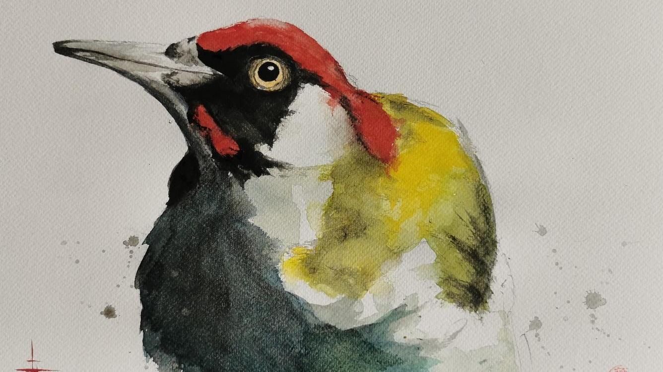 Herbert Herlitz aus Ebermannstadt zaubert mit vielen Farben und eleganten Pinselstrichen lebendige Vögel auf die Leinwand.
Herbert Herlitz aus Ebermannstadt zaubert mit vielen Farben und eleganten Pinselstrichen lebendige Vögel auf die Leinwand.