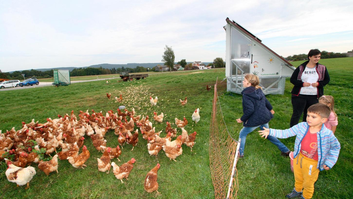 Die Kinder hatten jede Menge Spaß beim Füttern der Hühner.
Die Kinder hatten jede Menge Spaß beim Füttern der Hühner.